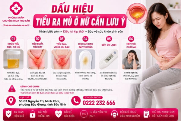 Tiểu Ra Mủ Ở Nữ: Nguyên Nhân, Dấu Hiệu Và Cách Điều Trị