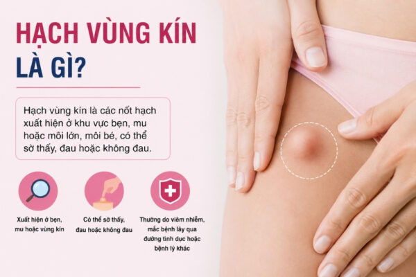 Hạch Vùng Kín Ở Nữ Là Bệnh Gì? Nguyên Nhân Và Cách Xử Lý