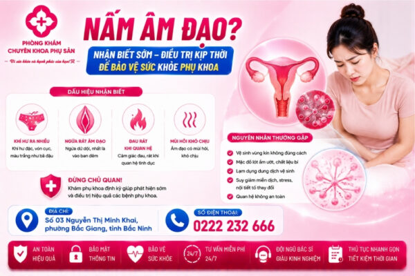 Nấm Âm Đạo Là Bệnh Gì? Có Nguy Hiểm Không?
