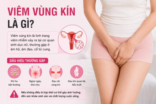 Viêm Vùng Kín Ở Nữ: Nguyên Nhân, Dấu Hiệu Và Cách Điều Trị